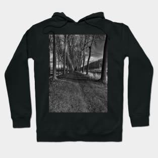 Damme, Belgium Hoodie